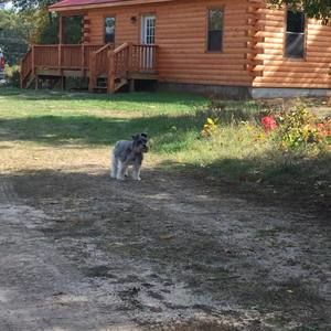 Meet your Posher, Laura